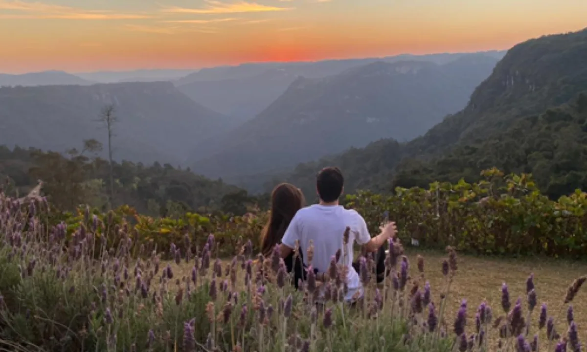 Pôr do Sol Olivas